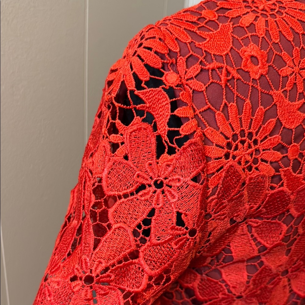 B6 Karen Millen Women’s 6 Scarlet Floral Lace Midi Dress - Picture 5 of 6